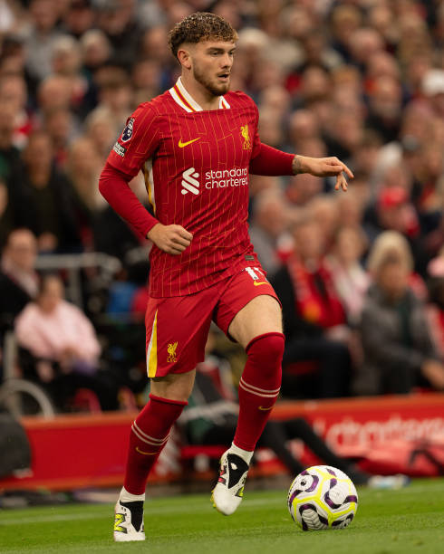 本届亚冬会 本届亚冬会