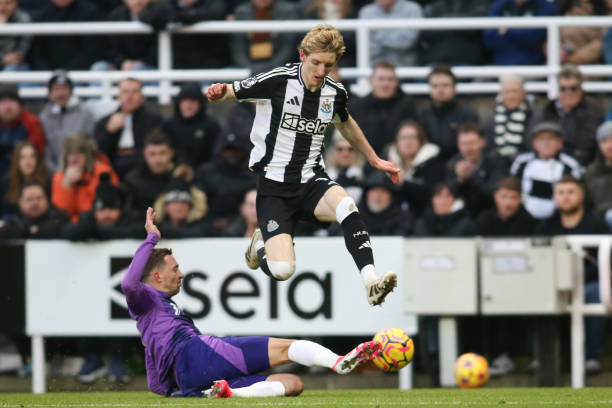 帮助球队捧 帮助球队捧